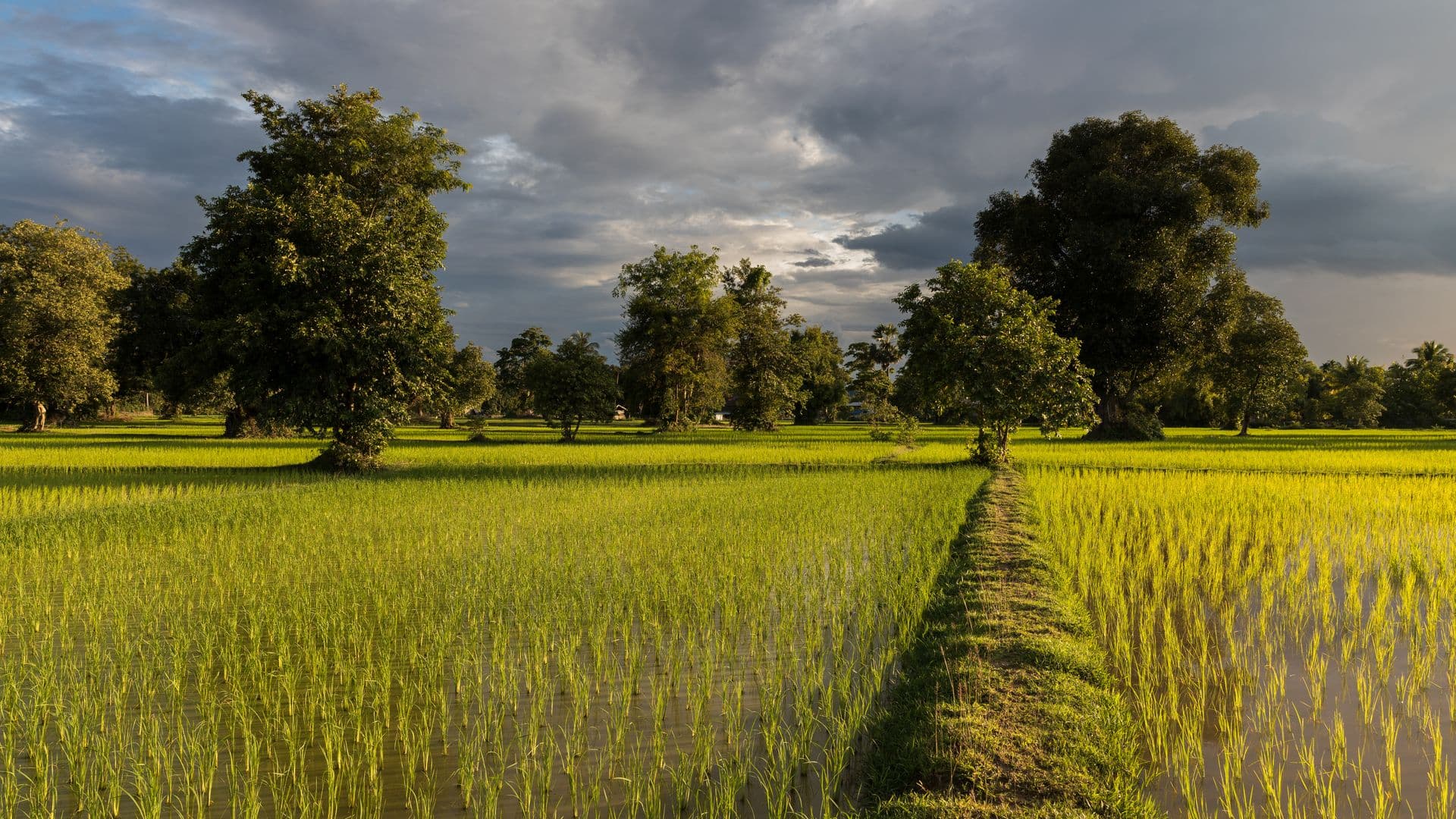 How does a land lease in Laos actually work?